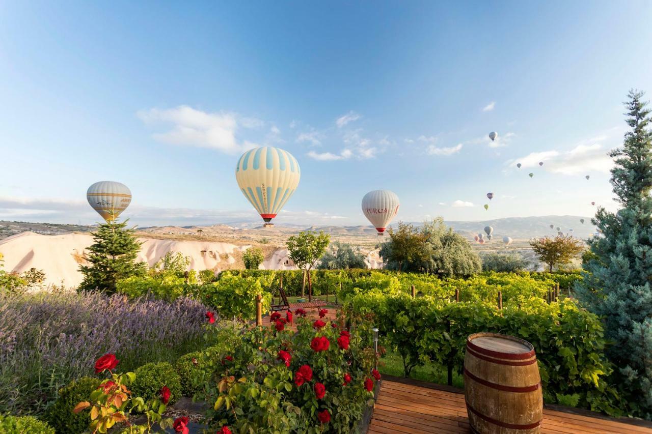 Ariana Sustainable Luxury Lodge - Special Category - Cappadocia Üchisar Exteriér fotografie